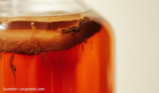 Minuman untuk Menurunkan Kadar Gula Darah Kombucha