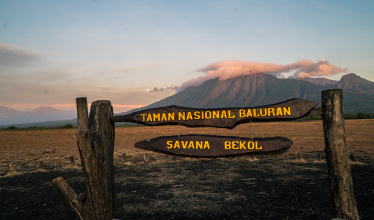 savana bekol, taman nasional baluran