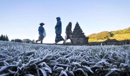 Mengenal Bun Upas, Fenomena Alam yang Bikin Dieng Beku! 1 Bun Upas, dieng Beku, Dieng Culture Festival