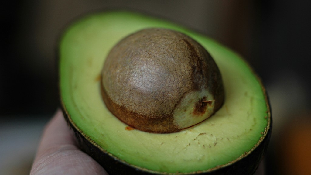 Daftar 7 Buah Penambah Darah yang Baik untuk Lambung Buah Penambah Darah yang Baik untuk Lambung