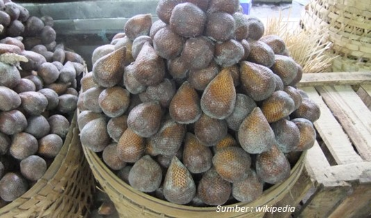 Bukan Hanya Daging Buahnya, loh! Ini 7 Manfaat Salak untuk Kesehatan 2 Kandungan Nutrisi Salak