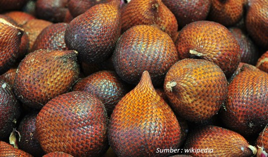 Bukan Hanya Daging Buahnya, loh! Ini 7 Manfaat Salak untuk Kesehatan 3 Manfaat Salak untuk Kesehatan