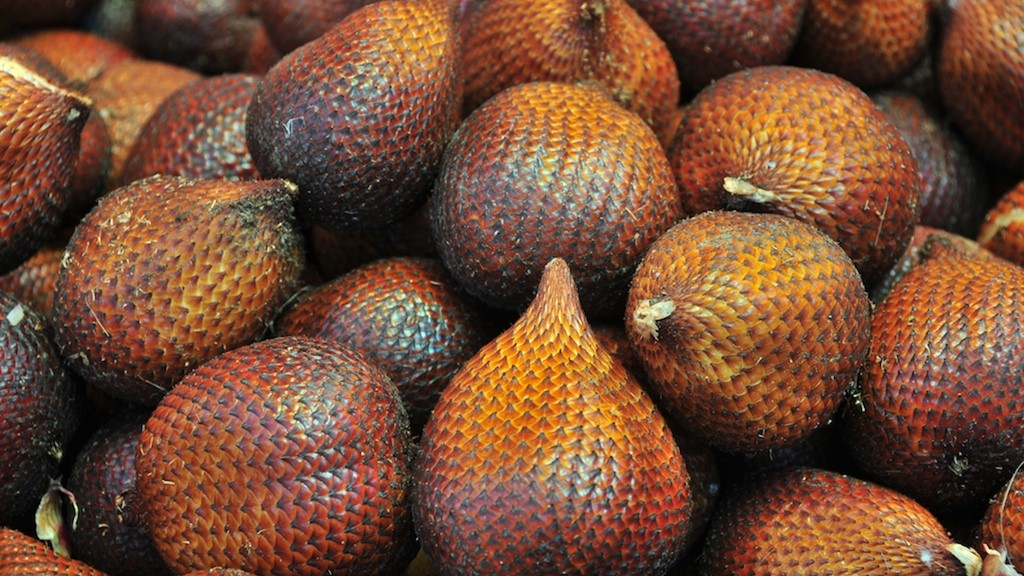 Bukan Hanya Daging Buahnya, loh! Ini 7 Manfaat Salak untuk Kesehatan Manfaat Salak untuk Kesehatan