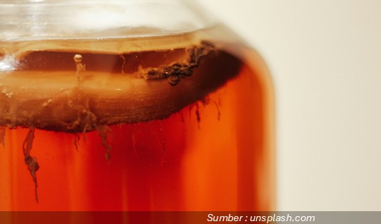 Resep 3 Minuman Probiotik Alami Terbaik untuk Kesehatan Pencernaan 3 Cara Membuat Kombucha