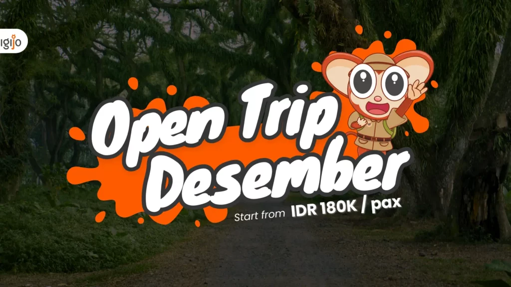 Yuk Merapat, Berikut Jadwal Open Trip Pigijo Desember 2024! Open Trip Pigijo