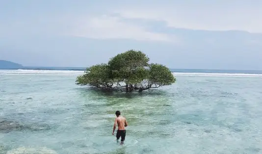 Lombok Raih Gelar Destinasi Wisata Terbaik Dunia 2025 1 Wisata Lombok