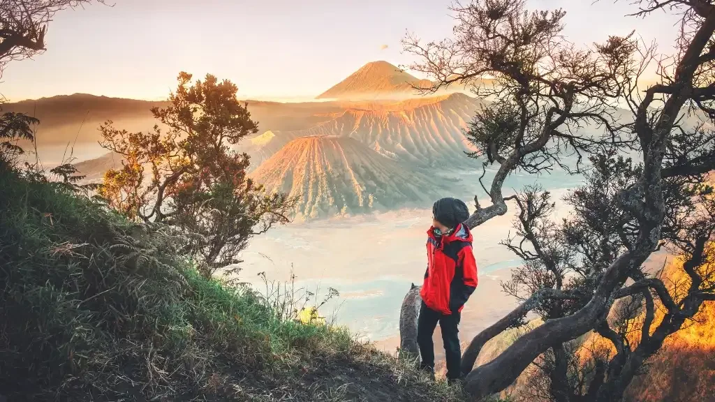 Gunung Bromo Tutup Total Selama Nyepi dan Lebaran 2025 bromo, bromo tutup, gunung bromo, wisata bromo, idul fitri, nyepi