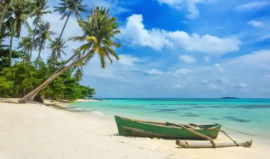 Penerbangan Langsung ke Karimunjawa Segera Dibuka April 2025! 1 Penerbangan langsung ke Karimunjawa
